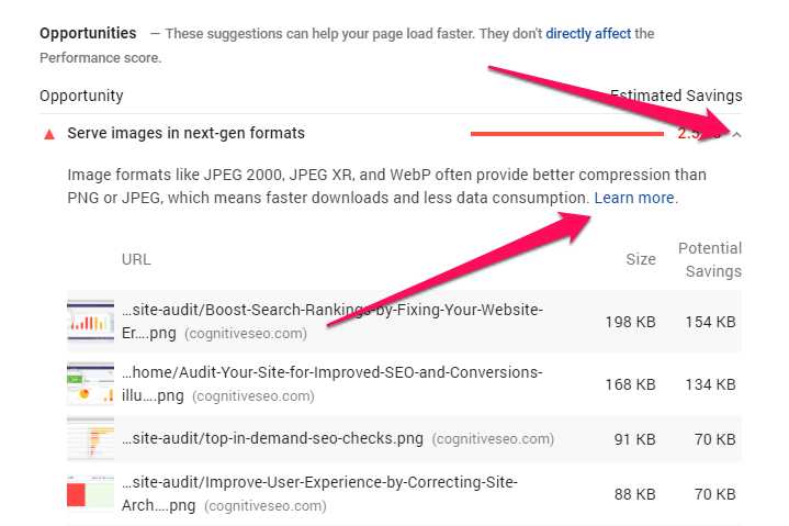 PageSpeed Opportunities & Diagnostics