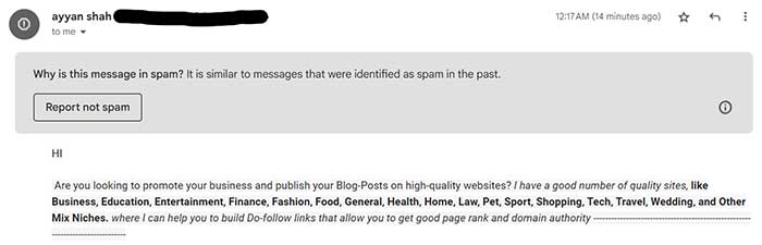A spam email with a public link building list.