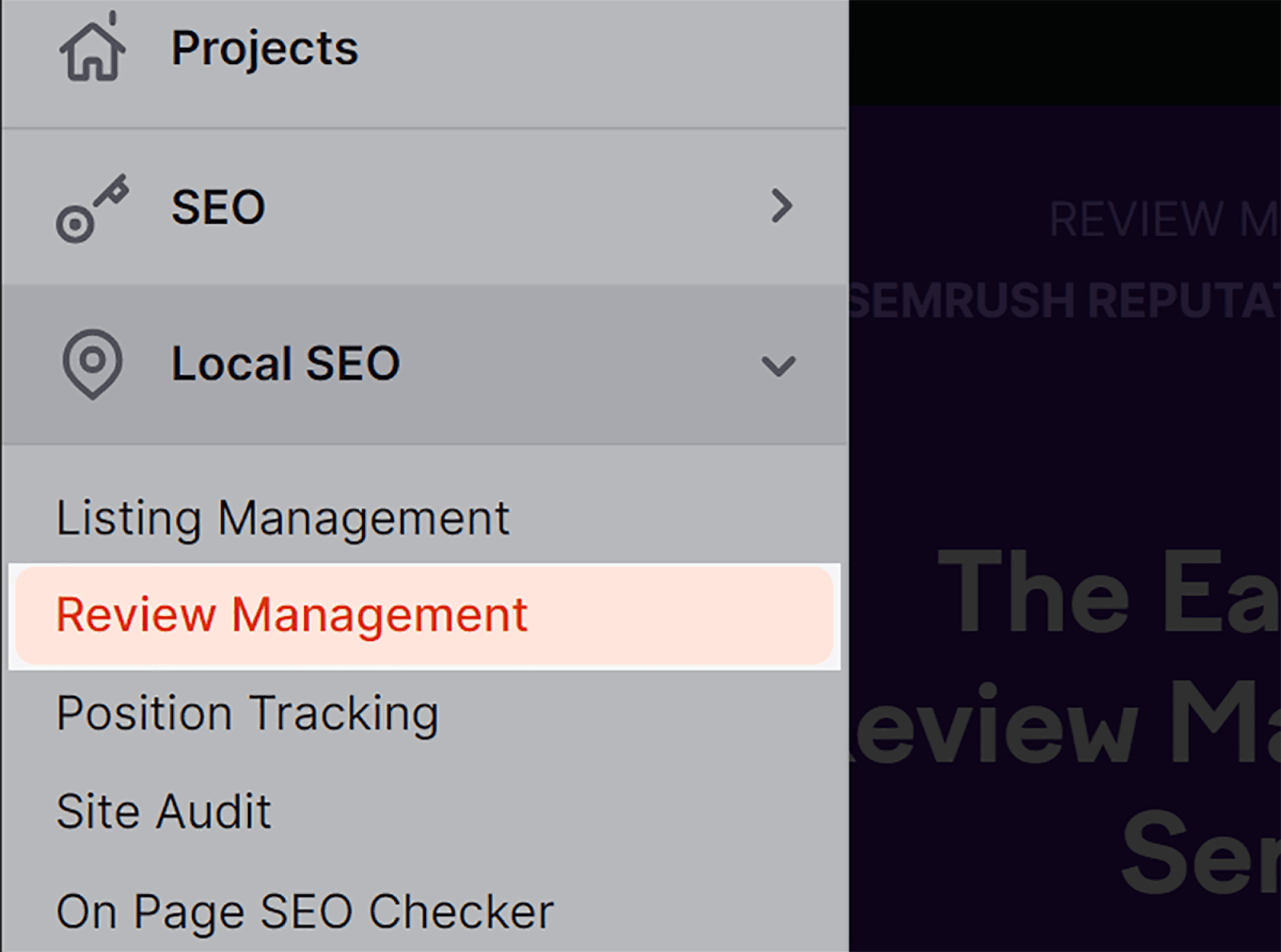 SEMrush Review Management tool