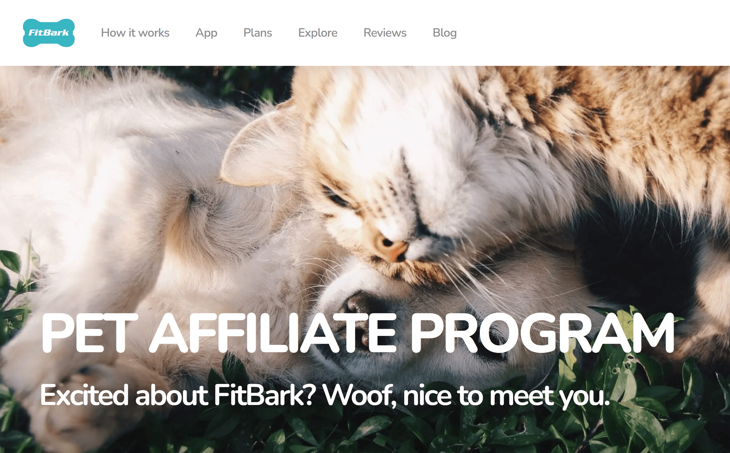 Fitbark Affiliate Program